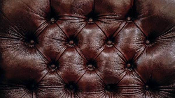 Texture Skin Surface Wallpaper
