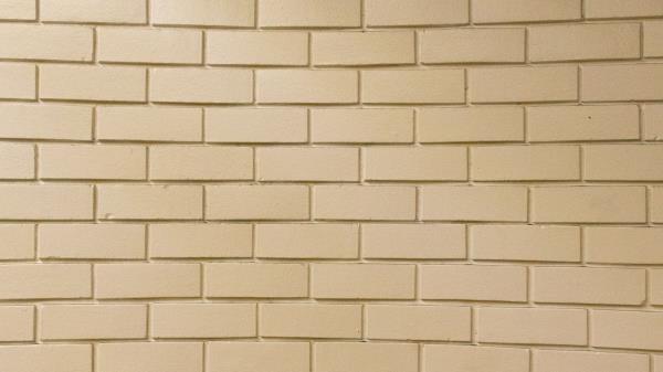Texture Wall Brick Photo Wallpaper