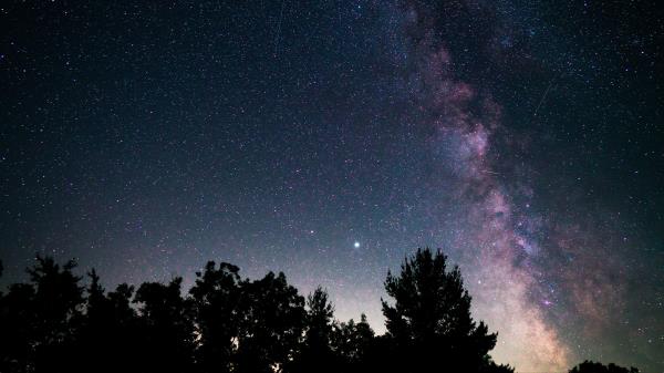 Trees Nebula Starry Sky Wallpaper