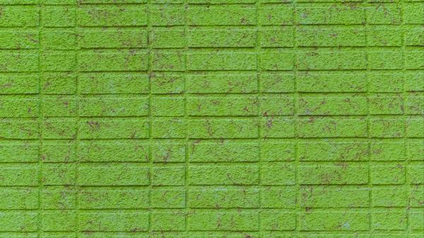 Wall Brick Green Wallpaper