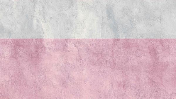 Wall Paint Pink Wallpaper