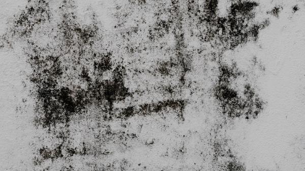 Wall Stains Texture Image Wallpaper