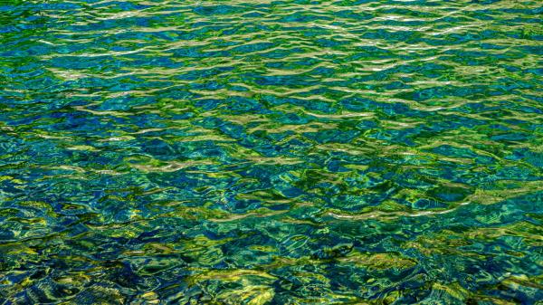 Water Glare Wavy Wallpaper
