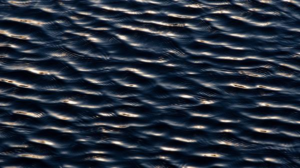 Water Ripples Surface Wallpaper