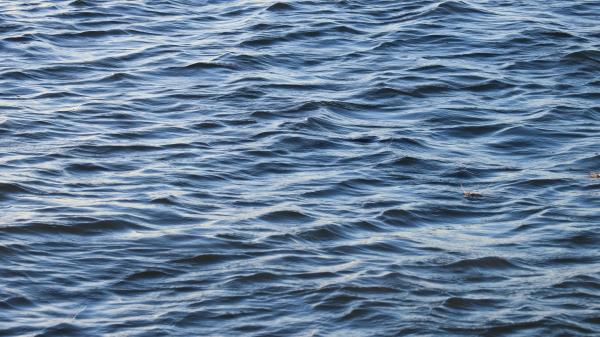 Water Waves Ripples Image Wallpaper