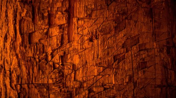 Wood Bark Scratches Wallpaper