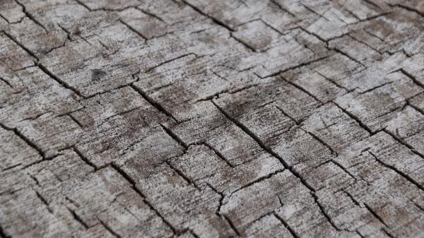 Wood Cranny Wooden Wallpaper