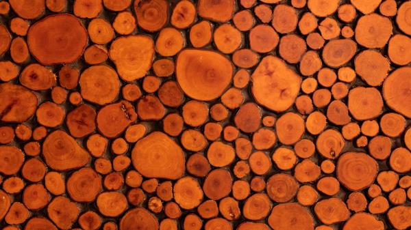 Wood Texture Logs Wallpaper