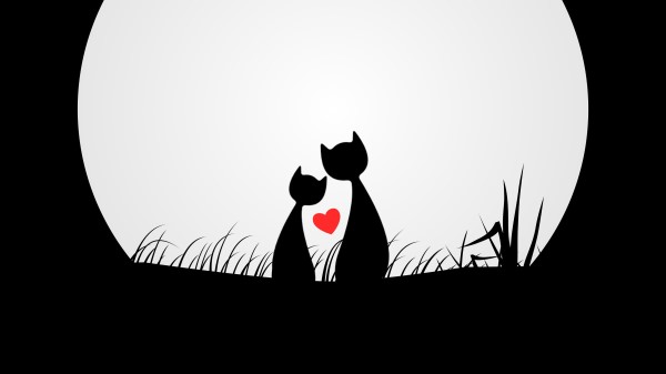 Cats Love Silhouettes Wallpaper