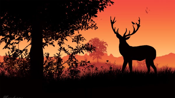 Deer Horns Sunset wallpaper