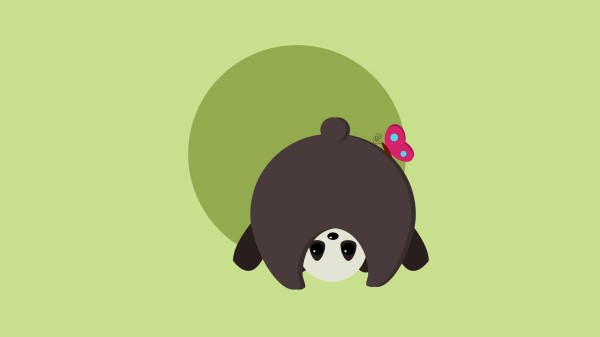Panda Funny Butterfly Wallpaper