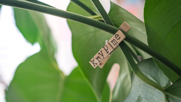 Clothespin Houseplant Leaves wallpaper