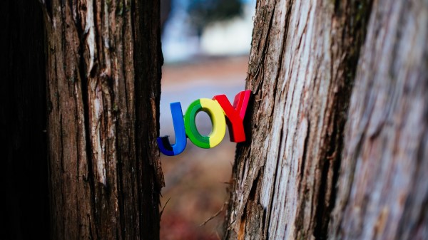 Inscription Words Joy wallpaper