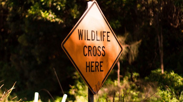Sign Inscription Wildlife wallpaper